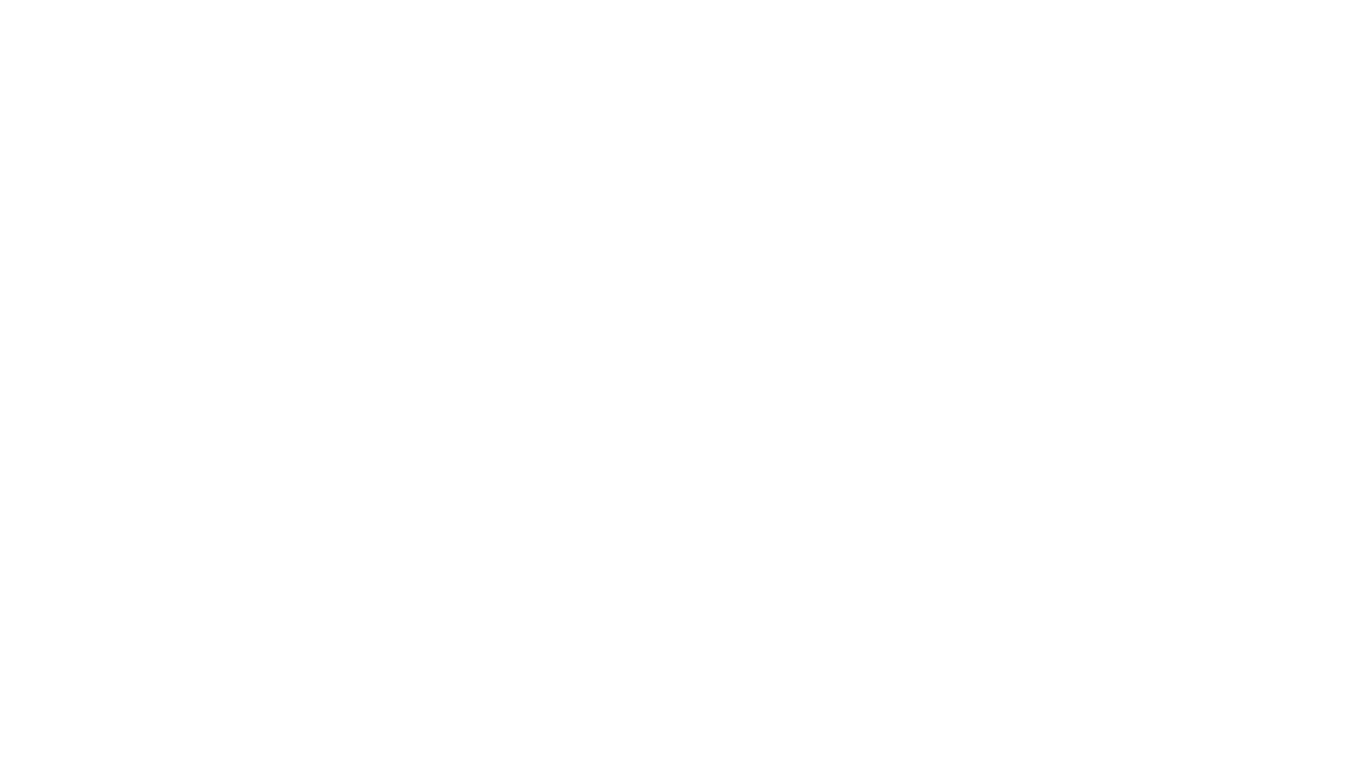Zenit Iron Club Logo